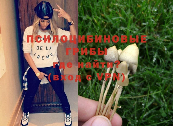 синтетический гашиш Армянск