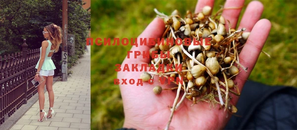 прущая мука Аркадак