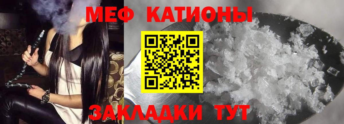 МЕФ  Балтийск
