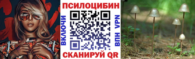 как найти наркотики  Балтийск  Галлюциногенные грибы Cubensis 