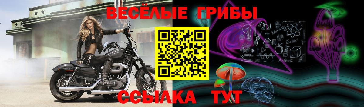 Балтийск  Псилоцибиновые грибы мухоморы  Вход с VPN 