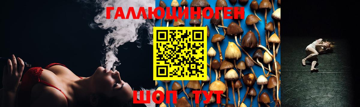 Галлюциногенные грибы GOLDEN TEACHER Балтийск